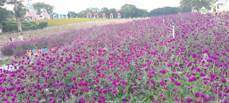 2020年MG不朽情緣物里制造中心團(tuán)建活動(dòng)圓滿結(jié)束